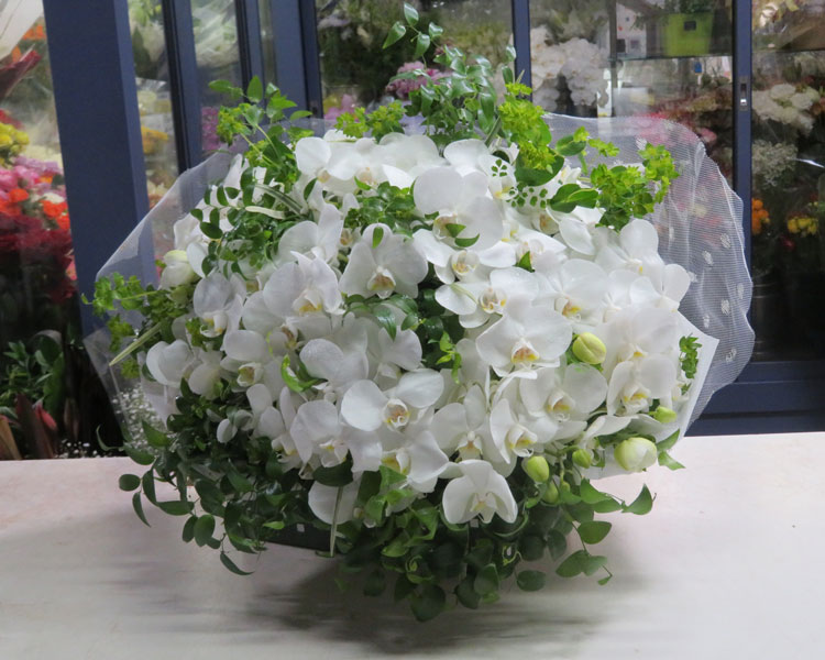 bouquet